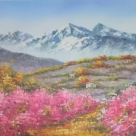 Barcarès Village - - - 4/9p+cour 3 étoil Casa vacanze *